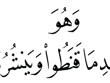 Al-Shura 42, 28