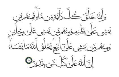 Al-Nur 24, 45